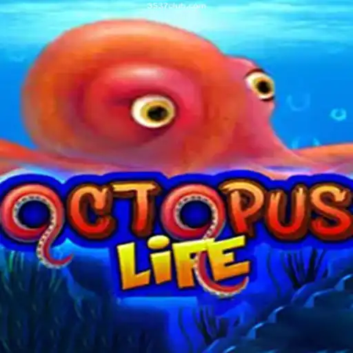 Exploring OctopusLife: The Premier Brazilian Casino Game